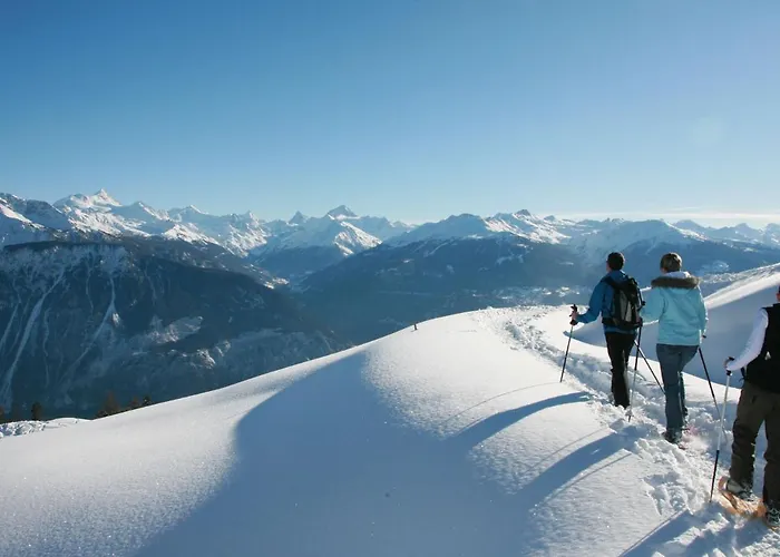 Apartment Jeanne D'Arc Apt- H-58 By Interhome * Crans-Montana